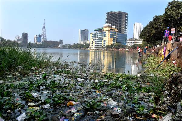 World Wetlands Day in Bangladesh