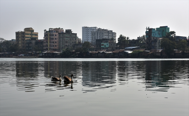 World Wetlands Day in Bangladesh