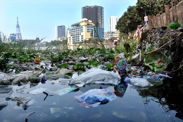 World Wetlands Day in Bangladesh