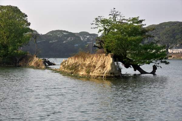 World Wetlands Day in Bangladesh