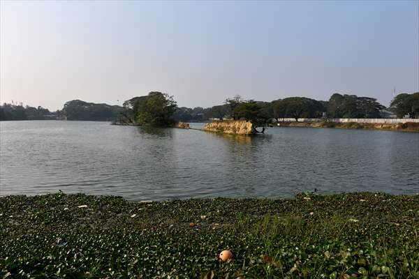 World Wetlands Day in Bangladesh