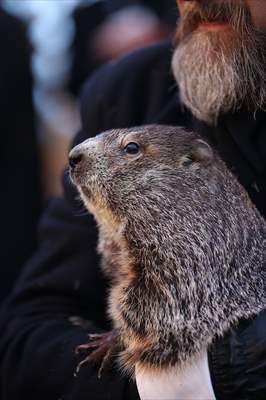 Groundhog Day 2022: Punxsutawney Phil says 6 more weeks winter