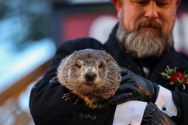 Groundhog Day 2022: Punxsutawney Phil says 6 more weeks winter
