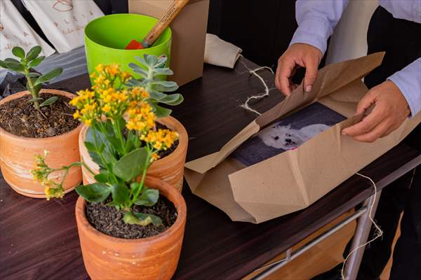 Pleia, option to say goodbye to pets in responsible way