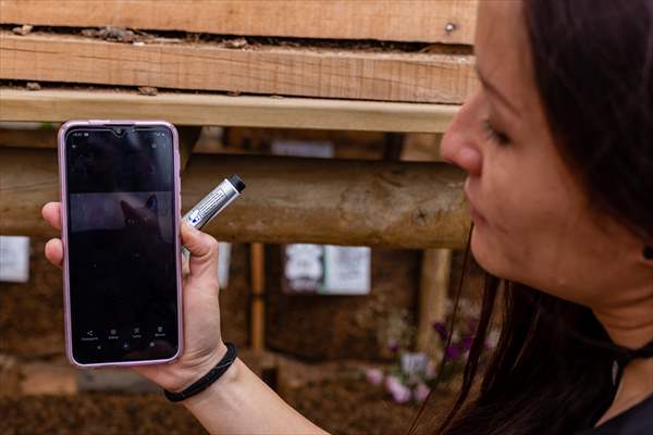 Pleia, option to say goodbye to pets in responsible way