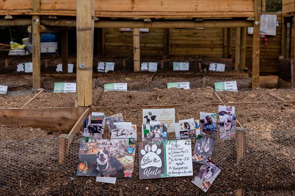 Pleia, option to say goodbye to pets in responsible way