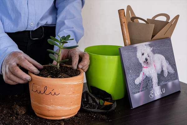 Pleia, option to say goodbye to pets in responsible way