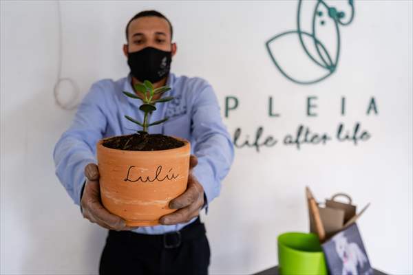 Pleia, option to say goodbye to pets in responsible way