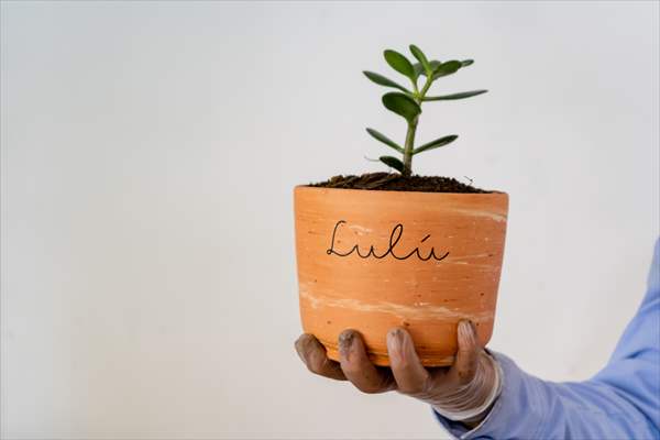 Pleia, option to say goodbye to pets in responsible way