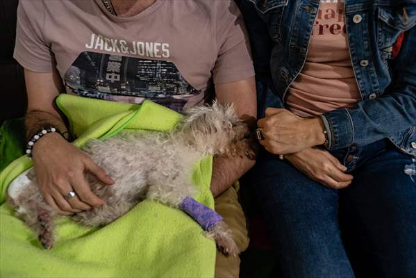 Pleia, option to say goodbye to pets in responsible way