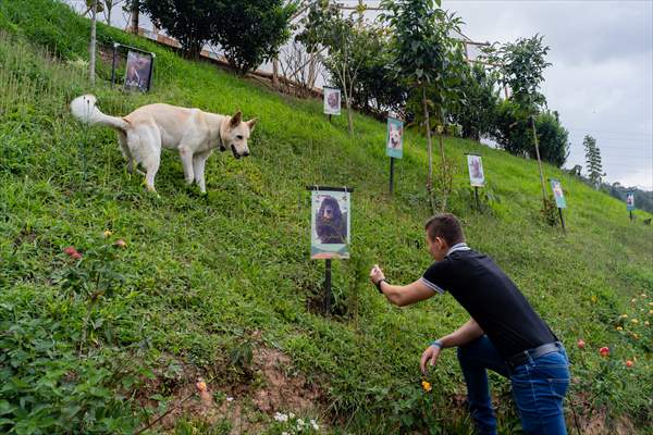 Pleia, option to say goodbye to pets in responsible way