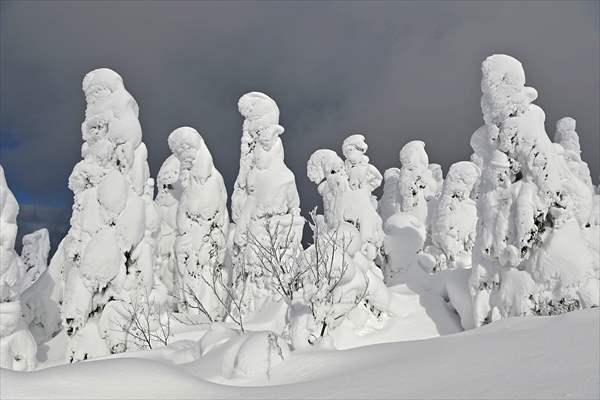 Snow monsters of Mount Zao in Japan