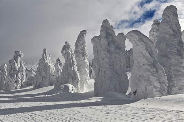 Snow monsters of Mount Zao in Japan