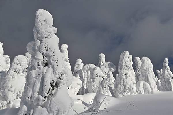 Snow monsters of Mount Zao in Japan