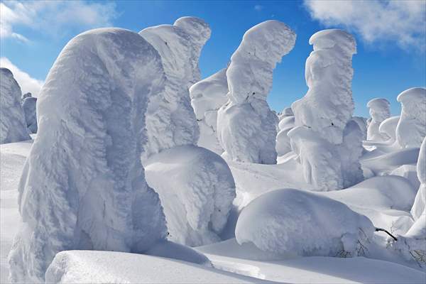 Snow monsters of Mount Zao in Japan