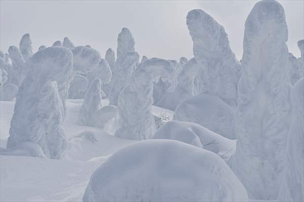 Snow monsters of Mount Zao in Japan