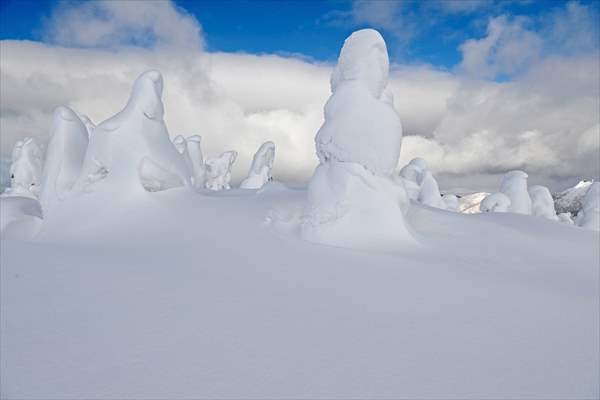 Snow monsters of Mount Zao in Japan