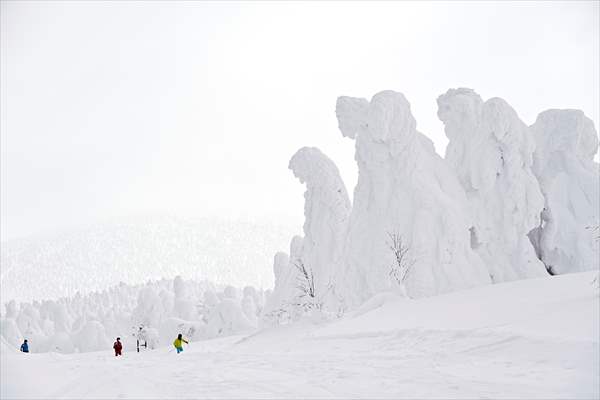 Snow monsters of Mount Zao in Japan