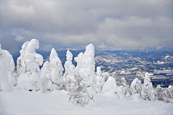 Snow monsters of Mount Zao in Japan