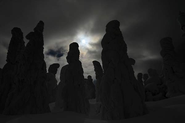 Snow monsters of Mount Zao in Japan