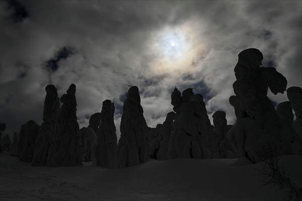 Snow monsters of Mount Zao in Japan