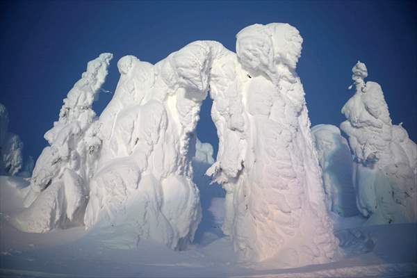 Snow monsters of Mount Zao in Japan