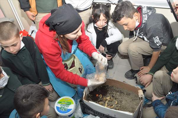 Öğrenciler "Çöp Müzesi" projesiyle atıklardan gübre ve sabun üretti
