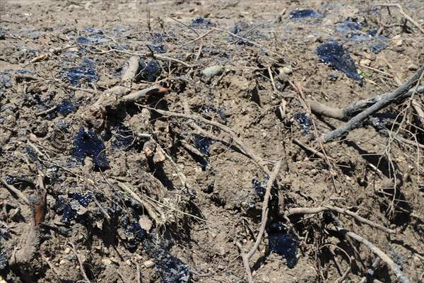 Edirne'de deposundan tarım arazilerine zift yayılan şirketin faaliyetleri durduruldu