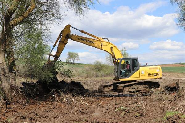 Edirne'de asfalt şantiyesinden tarlalara akan zifti temizleme çalışmaları devam ediyor