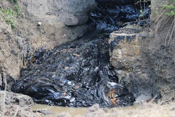 Edirne'de asfalt şantiyesinden tarlalara akan zifti temizleme çalışmaları devam ediyor