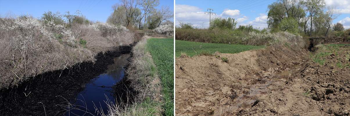 Edirne'de deposundan tarım arazilerine zift yayılan şirketin faaliyetleri durduruldu