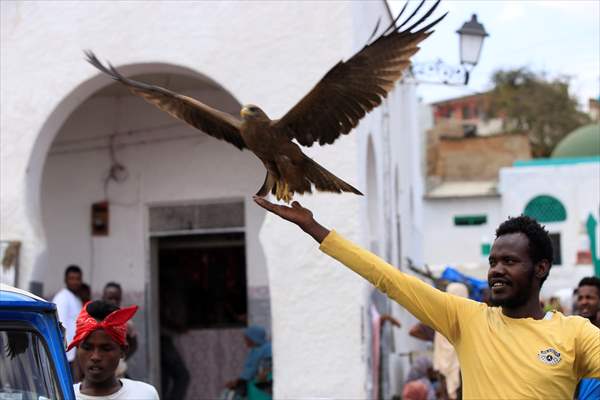 Falcon trainer in Ethiopian city takes show to another level