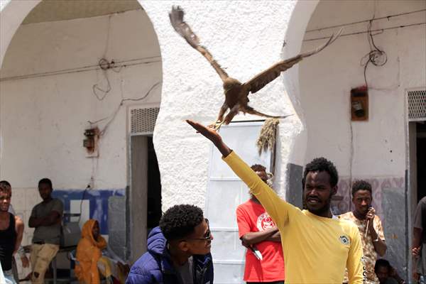 Falcon trainer in Ethiopian city takes show to another level