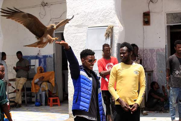 Falcon trainer in Ethiopian city takes show to another level