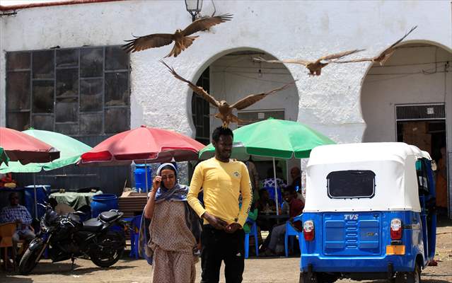 Falcon trainer in Ethiopian city takes show to another level