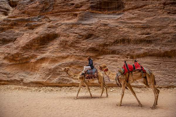 Rose red city: Jordan's Petra