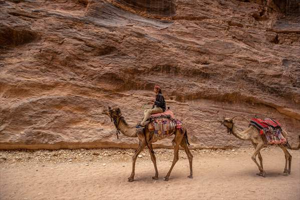 Rose red city: Jordan's Petra