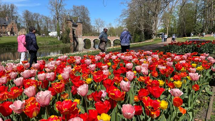 Flower show opens in Brussels