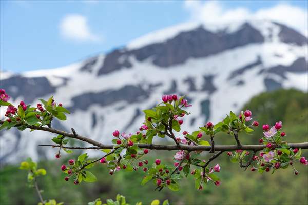 Tunceli'nin yaylalarında ilkbahar ve kış manzaraları bir arada