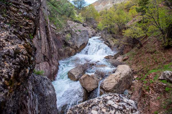 Tunceli'nin yaylalarında ilkbahar ve kış manzaraları bir arada