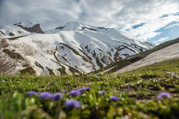 Tunceli'nin yaylalarında ilkbahar ve kış manzaraları bir arada