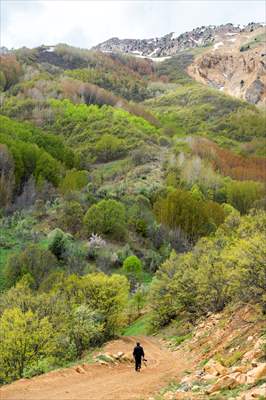 Tunceli'nin yaylalarında ilkbahar ve kış manzaraları bir arada