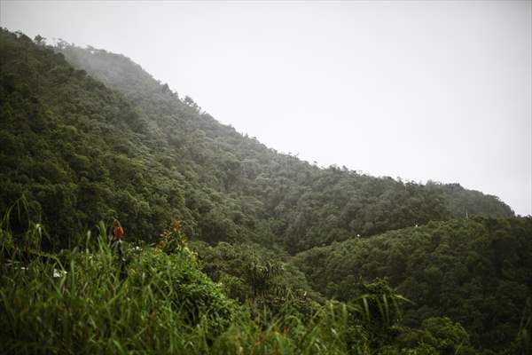 Colombia's most infamous road, Trampoline of Death