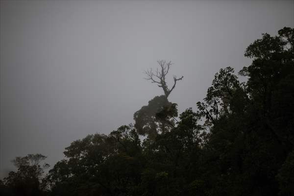 Colombia's most infamous road, Trampoline of Death