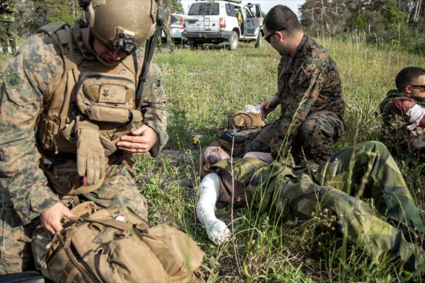 NATO military drill in Gotland