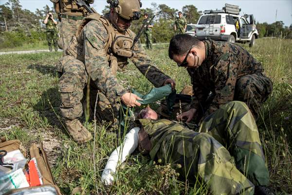 NATO military drill in Gotland