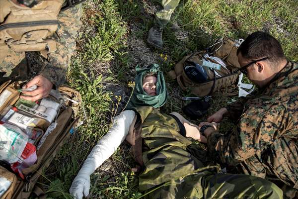 NATO military drill in Gotland