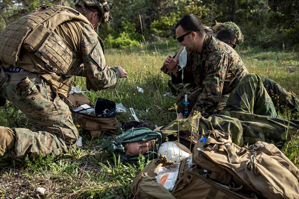 NATO military drill in Gotland