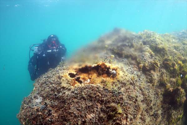 Underwater fairy chimneys of Turkiye's Lake Van