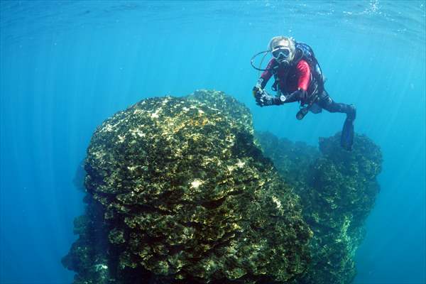 Underwater fairy chimneys of Turkiye's Lake Van